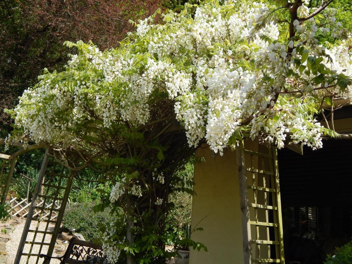 The Petite Chalet Chambre d'hôtes L'Isle-Jourdain  Exterior foto