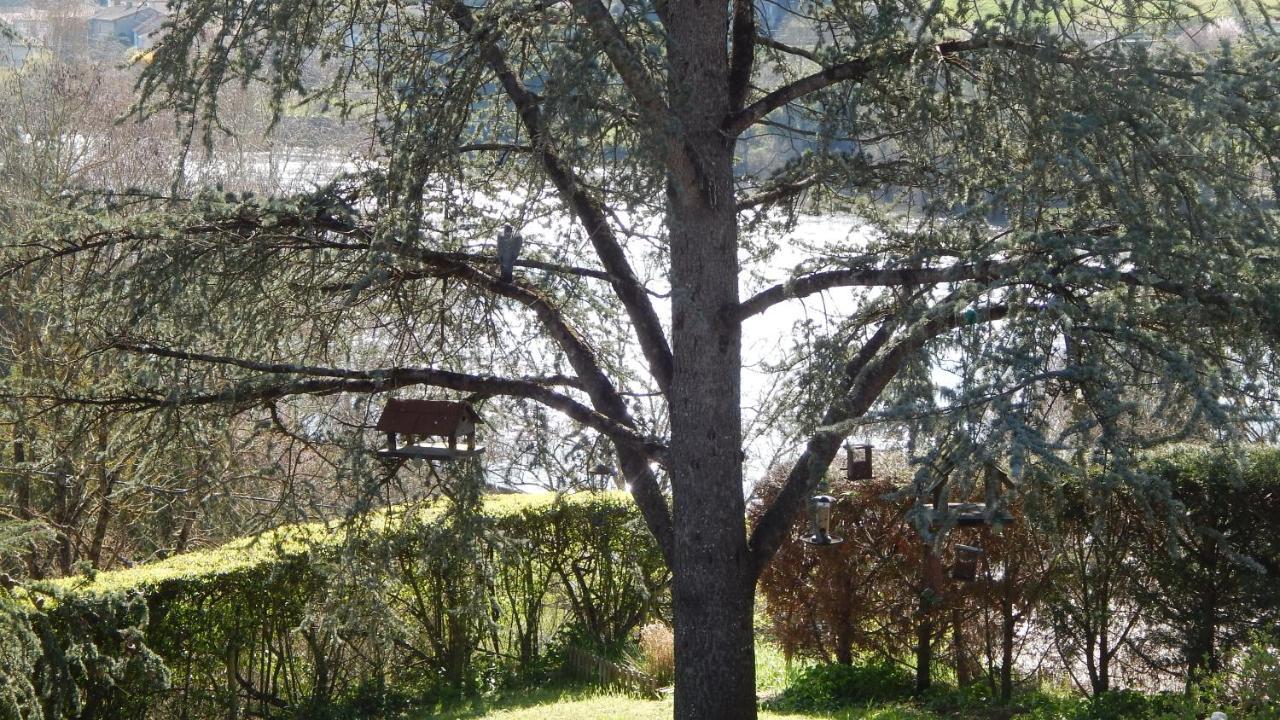 The Petite Chalet Chambre d'hôtes L'Isle-Jourdain  Exterior foto