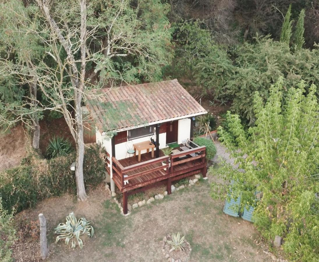 The Petite Chalet Chambre d'hôtes L'Isle-Jourdain  Exterior foto